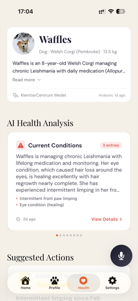 Echo AI Health Analysis showing current conditions and suggested actions for Waffles